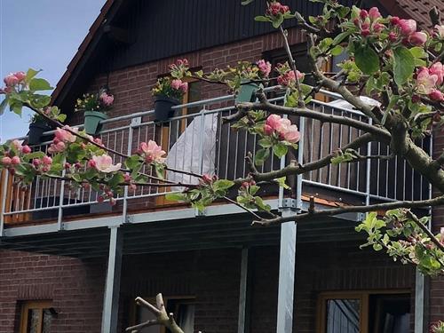 Ferielejlighed - 8 personer -  - Dorfstraße - 21762 - Osterbruch