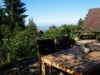 Bilde 4