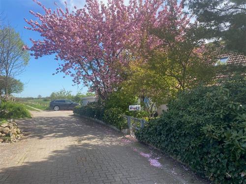 Ferienwohnung - 2 Personen -  - Segeberger Straße 20 a - 23795 - Klein Gladebrügge