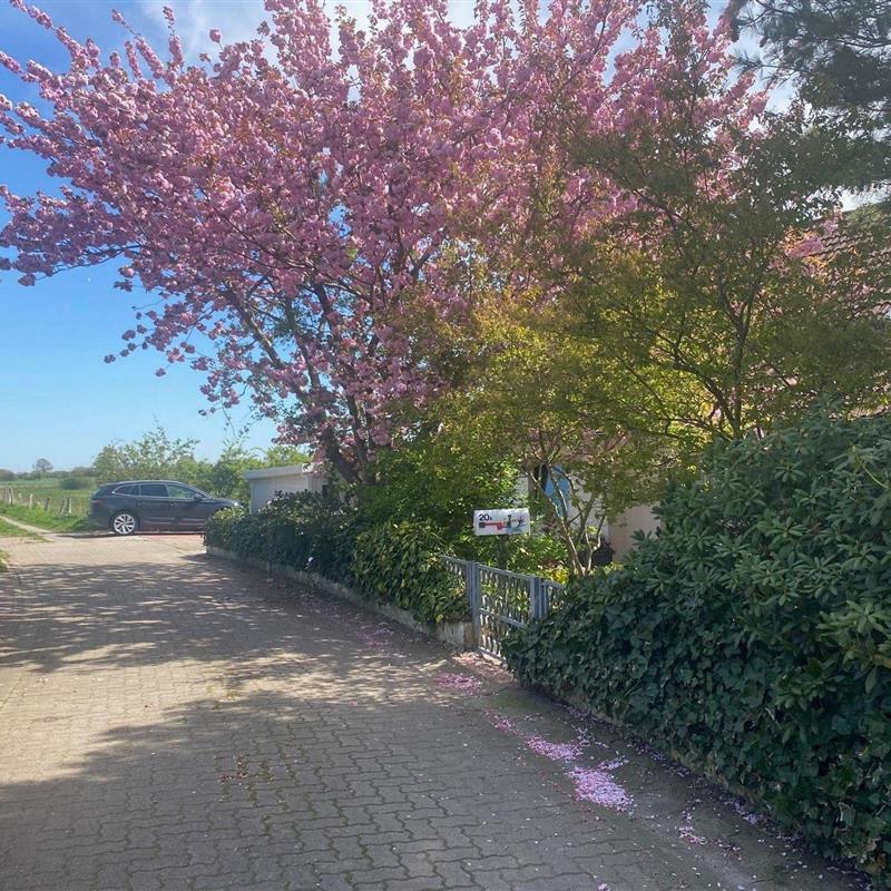 Ferielejlighed - 2 personer -  - Segeberger Straße 20 a - 23795 - Klein Gladebrügge