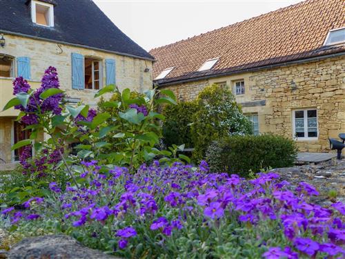 Feriehus - 9 personer -  - Carlux - 24370