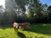 Bild 22