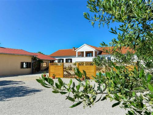 Villa - 12 personer -  - 23420 - Zadar