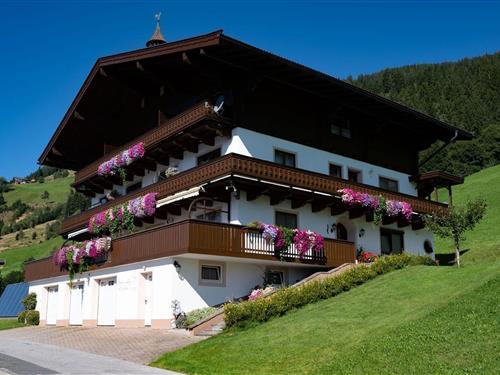 Holiday Home/Apartment - 4 persons -  - 5732 - Hollersbach Im Pinzgau