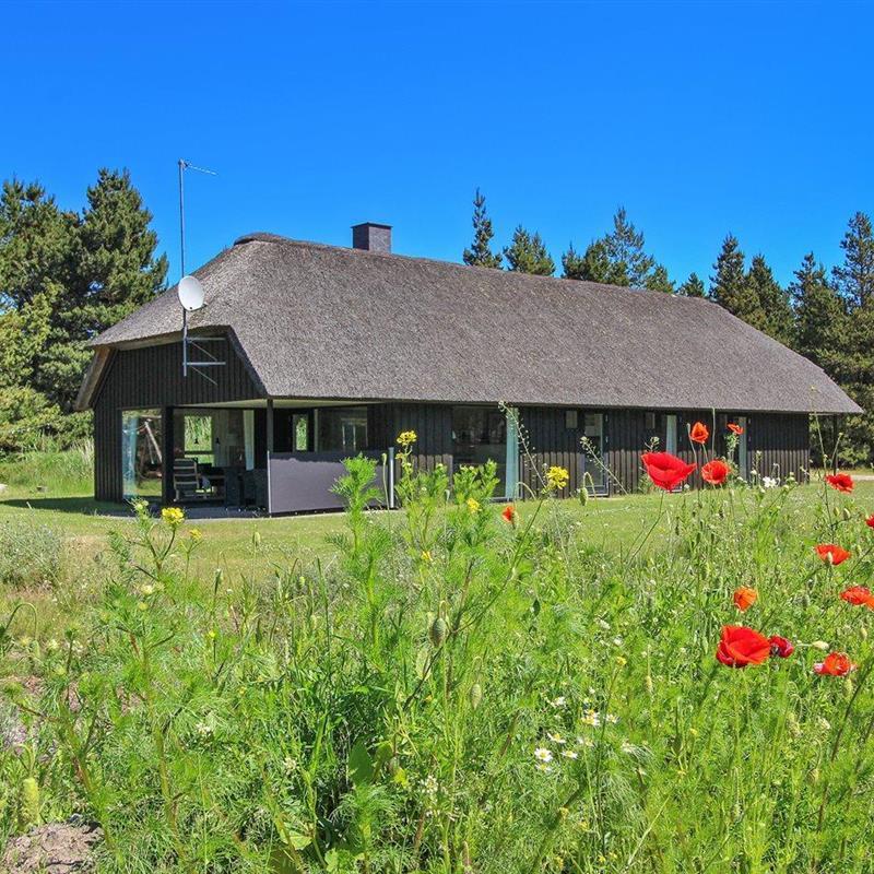 Ferienhaus - 8 Personen -  - Per Knoldsvej - 6857 - Blavand