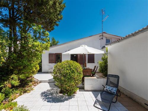 Holiday apartment - 4 persons -  - Put Gržanove punte - 23233 - Privlaka