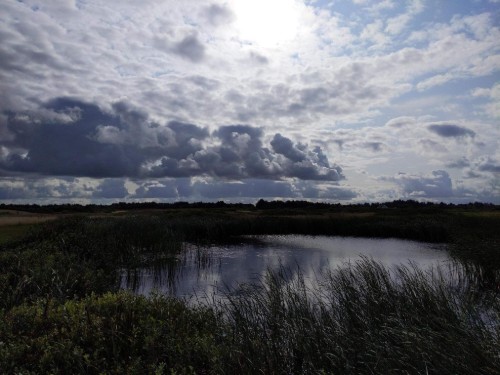 Sommerhus - 6 personer -  - Esebjergvej - Houvig - 6950 - Ringkøbing