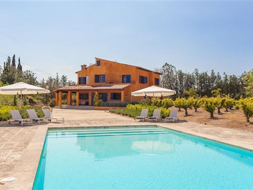 Villa - 10 personer -  - 07300 - Inca, Illes Balears