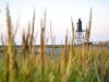 Billede 39
