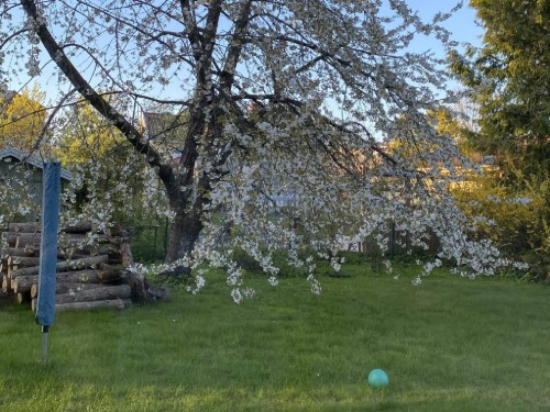  - 5 personer -  - Viktoriagatan - 44133 - Alingsås