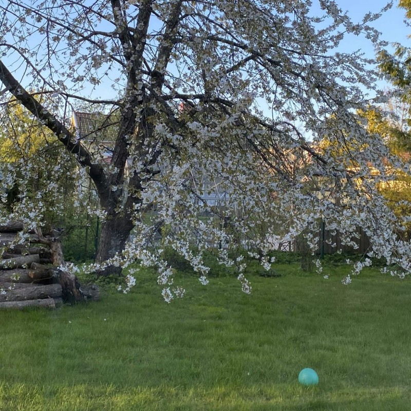  - 5 personer -  - Viktoriagatan - 44133 - Alingsås