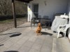 Bild 18