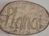 Bild 31