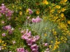 Image 29 - Outside