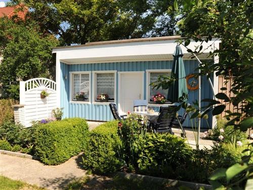 Sommerhus - 5 personer -  - Strandweg - 17373 - Ueckermünde