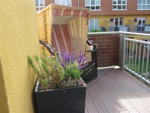 Semesteranläggning - 5 personer -  - Oberförsterweg - 17459 - Zempin