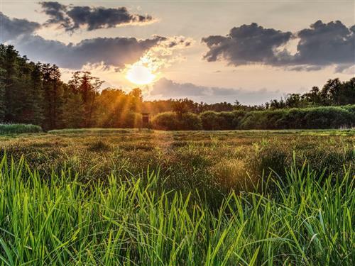 Ferieleilighet - 4 personer -  - Lange Str. - 03222 - Lübbenau