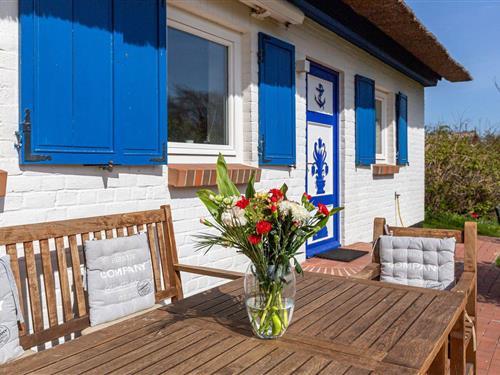 Sommerhus - 4 personer -  - Weg zum Hohen Ufer - 18347 - Ostseebad Ahrenshoop