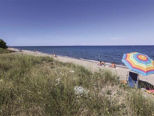 Ferielejlighed - 8 personer -  - 20230 - Poggio Mezzana