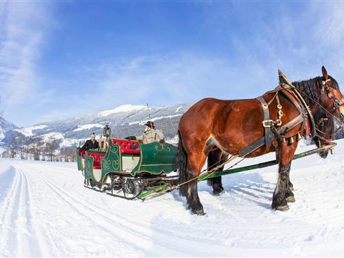 Ferieleilighet - 6 personer -  - 5743 - Krimml