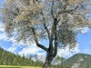 Bild 23 - Aussen