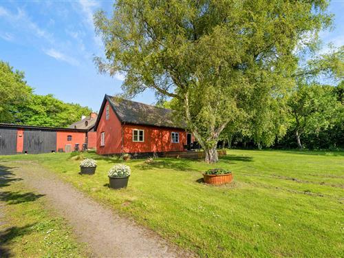 Holiday Home/Apartment - 4 persons -  - Rispebjergvejen - 3730 - Nexø