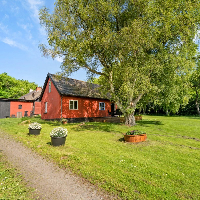 Ferienhaus - 4 Personen -  - Rispebjergvejen - 3730 - Nexö