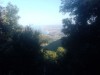 Bilde 8 - Ude