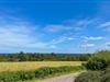 Bild 24 - Aussicht