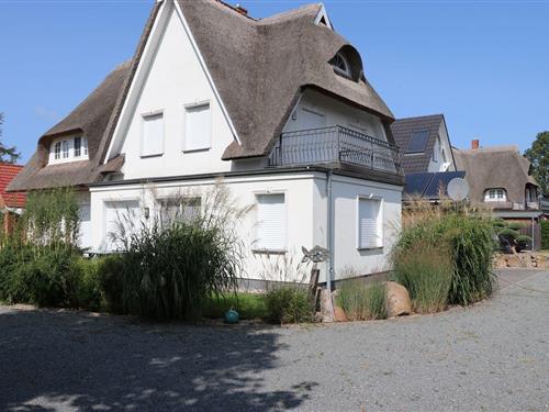 Feriehus - 8 personer -  - Norderstr - 18347 - Wustrow