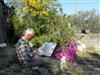 Bild 33