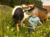Bild 16