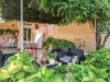 Bild 17