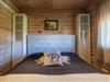 Bild 20 - Inde