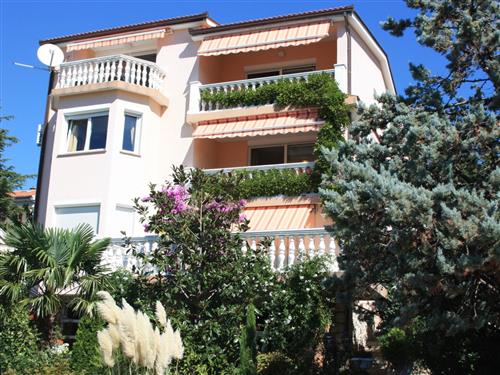 Ferieleilighet - 3 personer -  - Selce - 51266