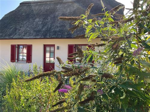 Ferienhaus - 3 Personen -  - De Poeler Drift - 23968 - Zierow