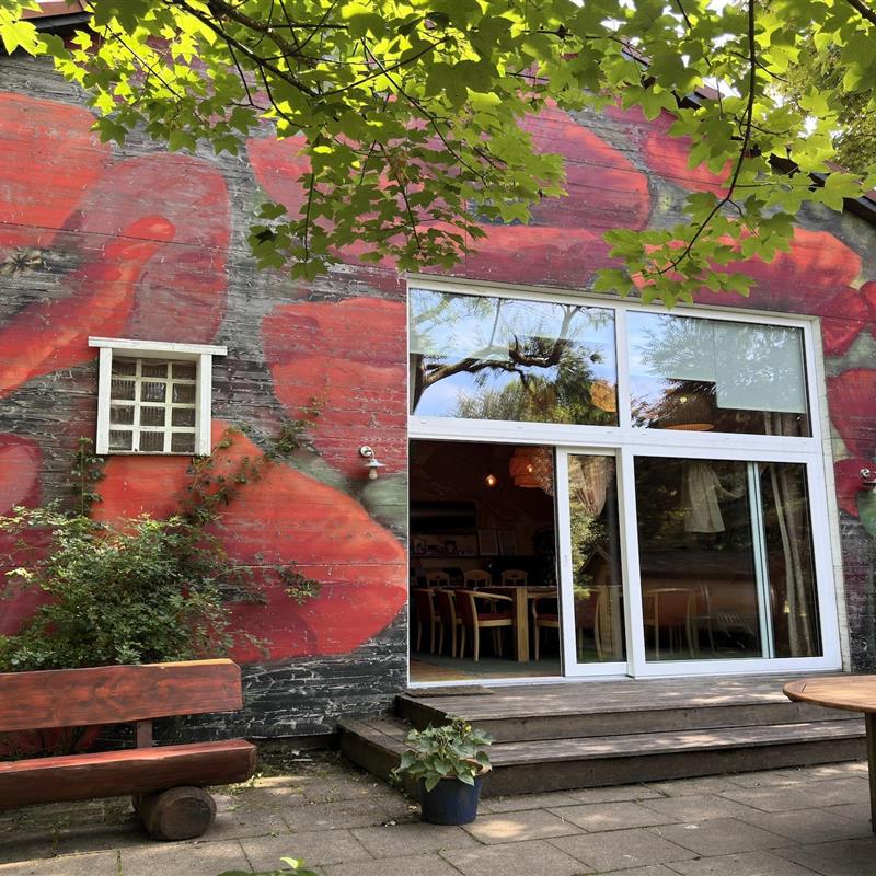 Sommerhus - 20 personer -  - 38678 - Buntenbock