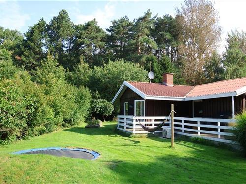 Ferienhaus - 7 Personen -  - Brombærvej - Veddinge Bakker & Ordrup - 4540 - Faarevejle