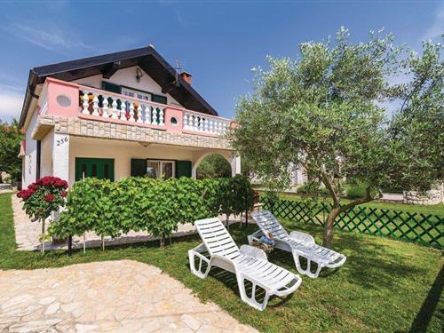 Holiday home - 8 persons -  - Put Bilotinjka - Nin-Privlaka - 23233 - Privlaka