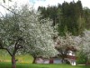 Bilde 1 - Ude
