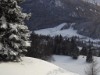 Bilde 7