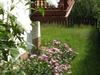 Bilde 3