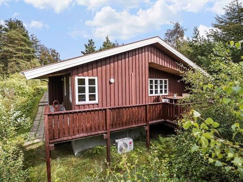 Sommerhus - 4 personer -  - Nattergalevej - Tranum Klit - 9460 - Brovst