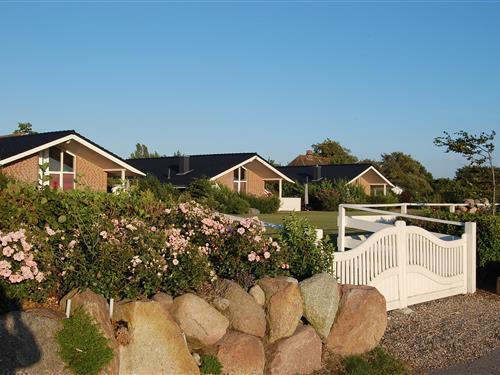 Holiday Home/Apartment - 4 persons -  - Westküstenstraße - 23769 - Fehmarn