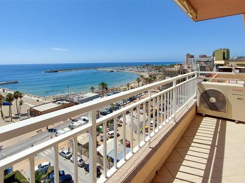 Ferielejlighed - 4 personer -  - Calle Hernán Cortés - 29640 - Fuengirola