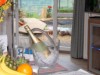 Bild 69