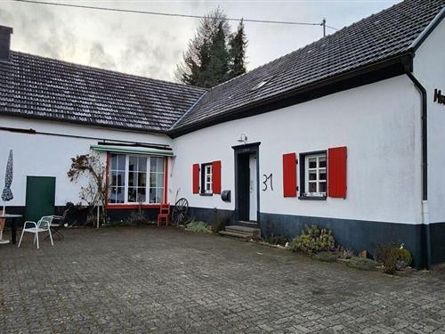 Holiday Home/Apartment - 14 persons -  - 53945 - Blankenheim-Waldorf