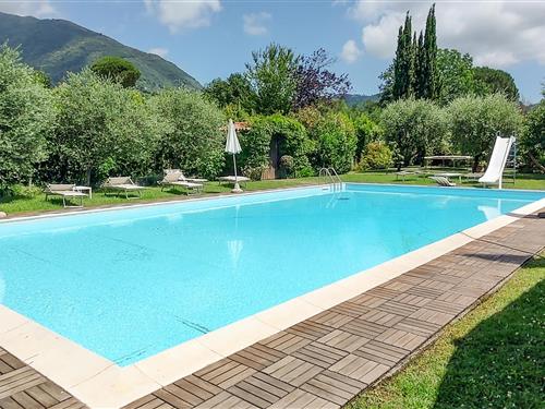 Sommerhus - 16 personer -  - Via Gattarella - 55041 - Camaiore