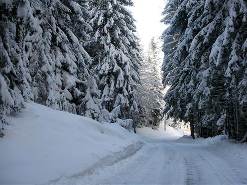 Bondehus - 12 personer -  - 9712 - Fresach