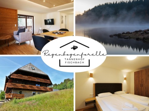 Ferieleilighet - 2 personer -  - Unterfischbach - 79859 - Schluchsee